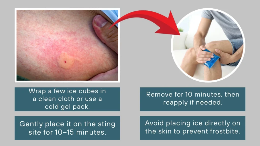 Apply a Cold Compress