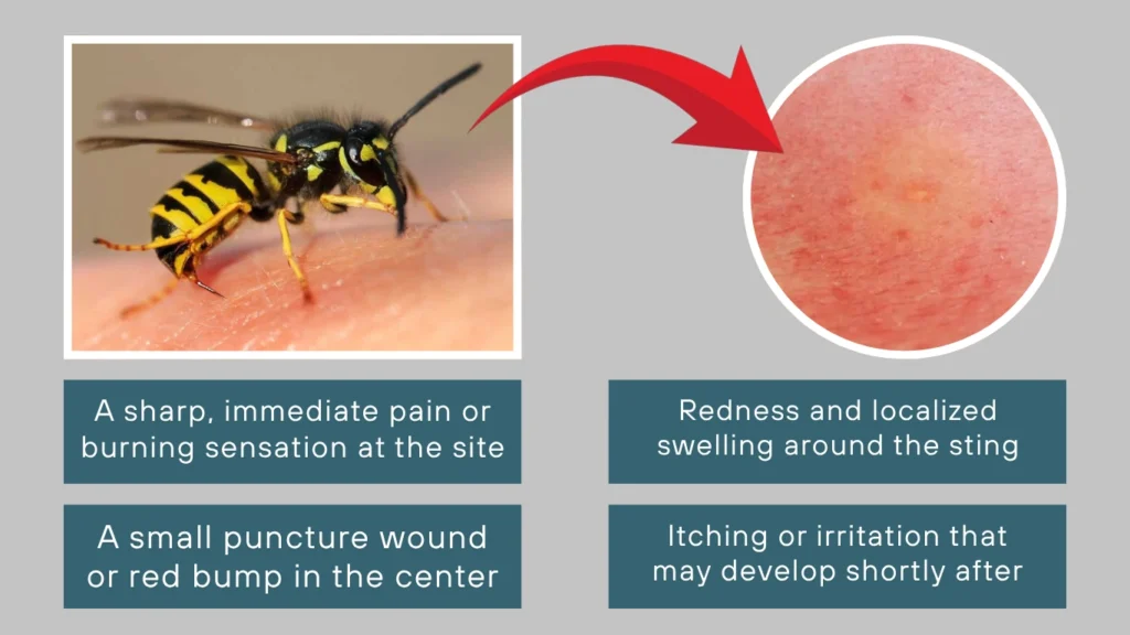 Wasp Sting Identification