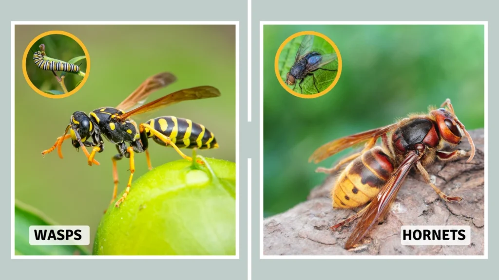 7. Role in the Ecosystem