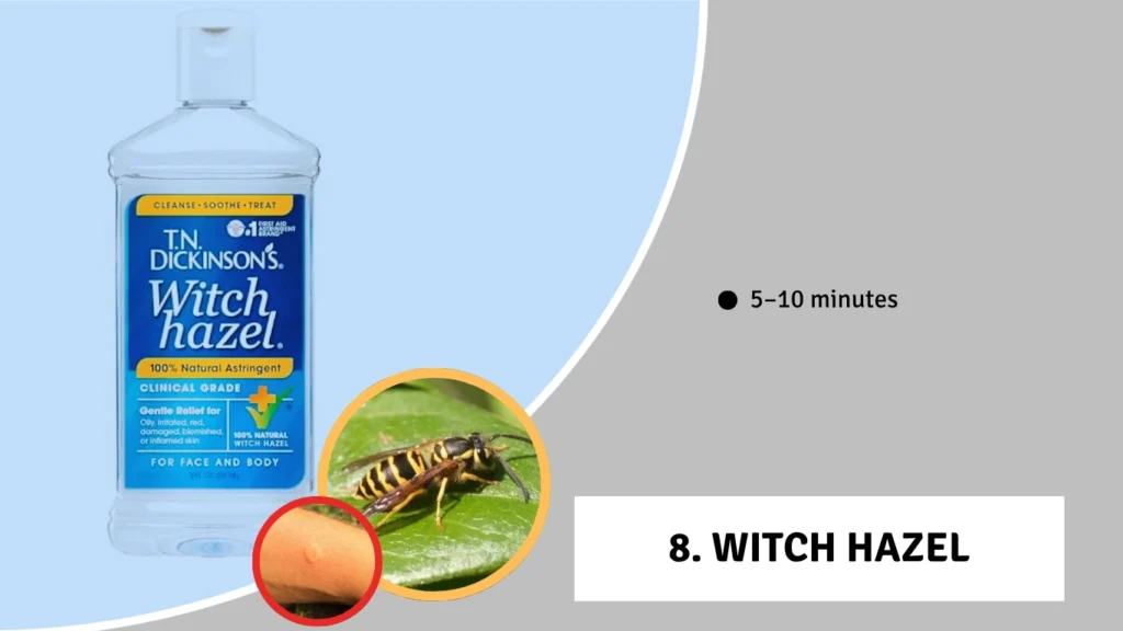 8. Witch Hazel