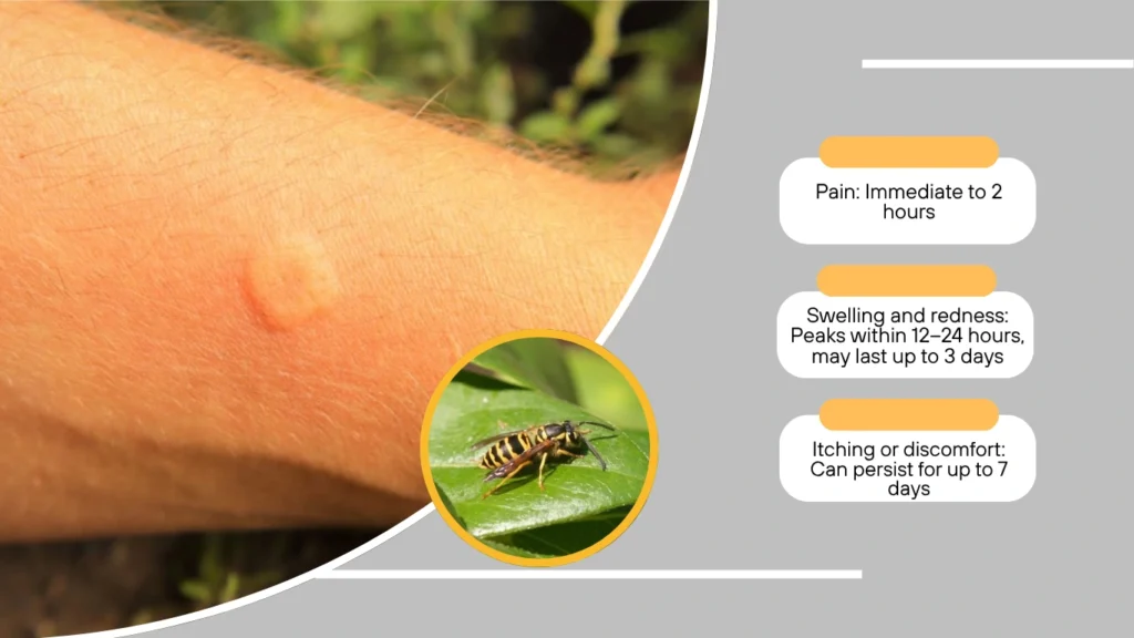 How Long Should a Wasp Sting Last