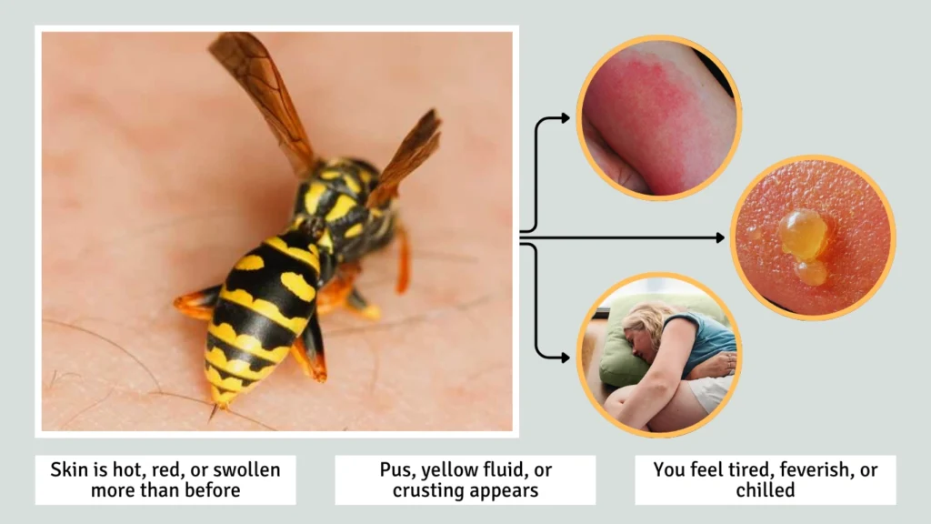 Warning Signs to Watch For