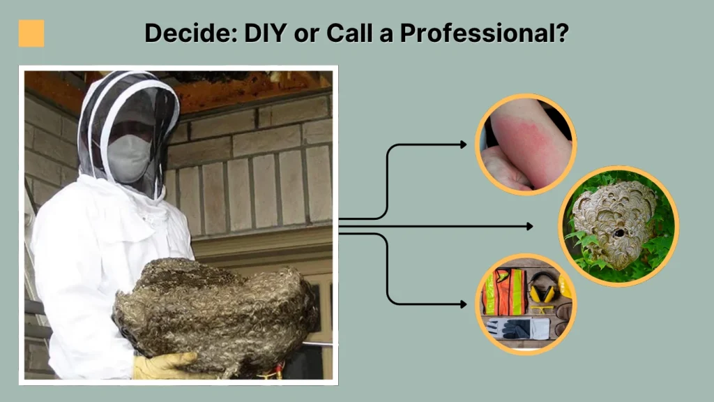 Decide DIY or Call a Professional