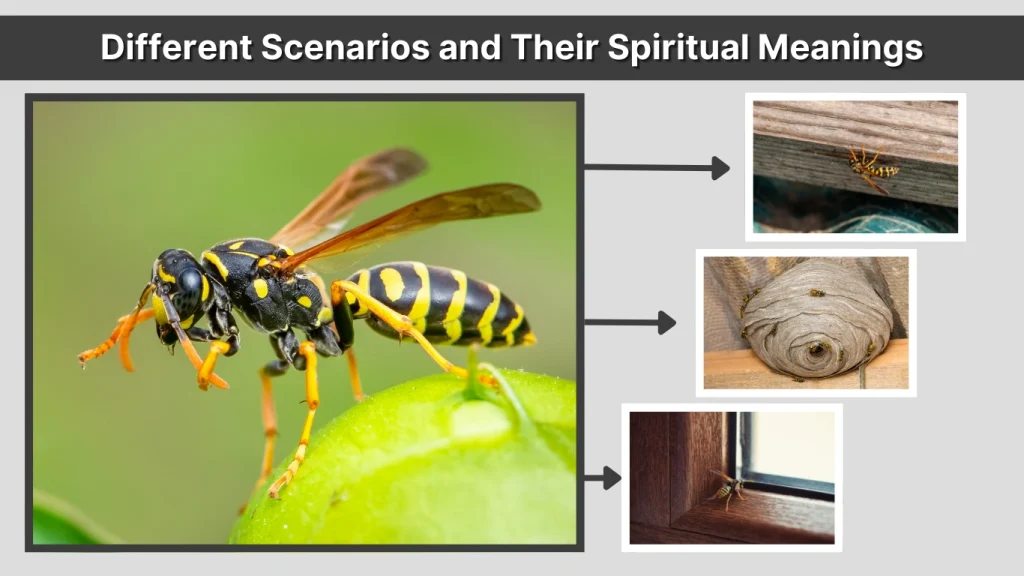 Different Scenarios and Their Spiritual Meanings