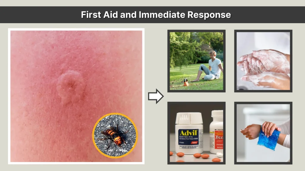 First Aid and Immediate Response