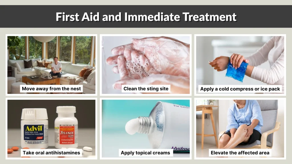 First Aid and Immediate Treatment