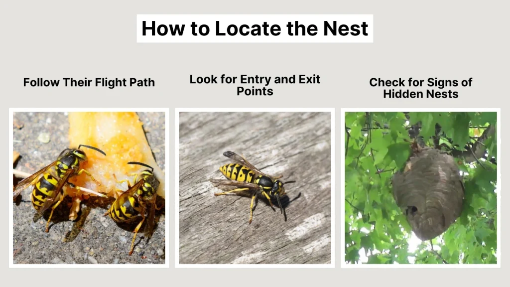 How to Locate the Nest
