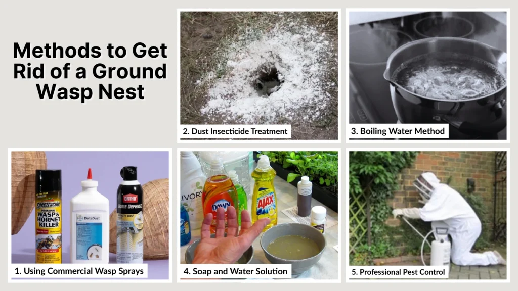 Methods to Get Rid of a Ground Wasp Nest