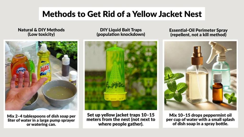 Methods to Get Rid of a Yellow Jacket Nest