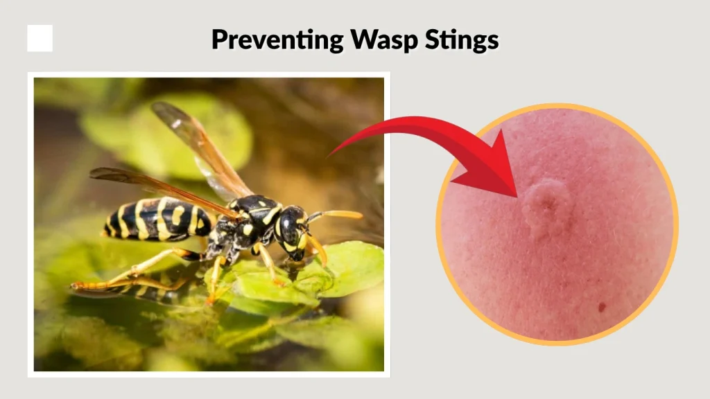 Preventing Wasp Stings