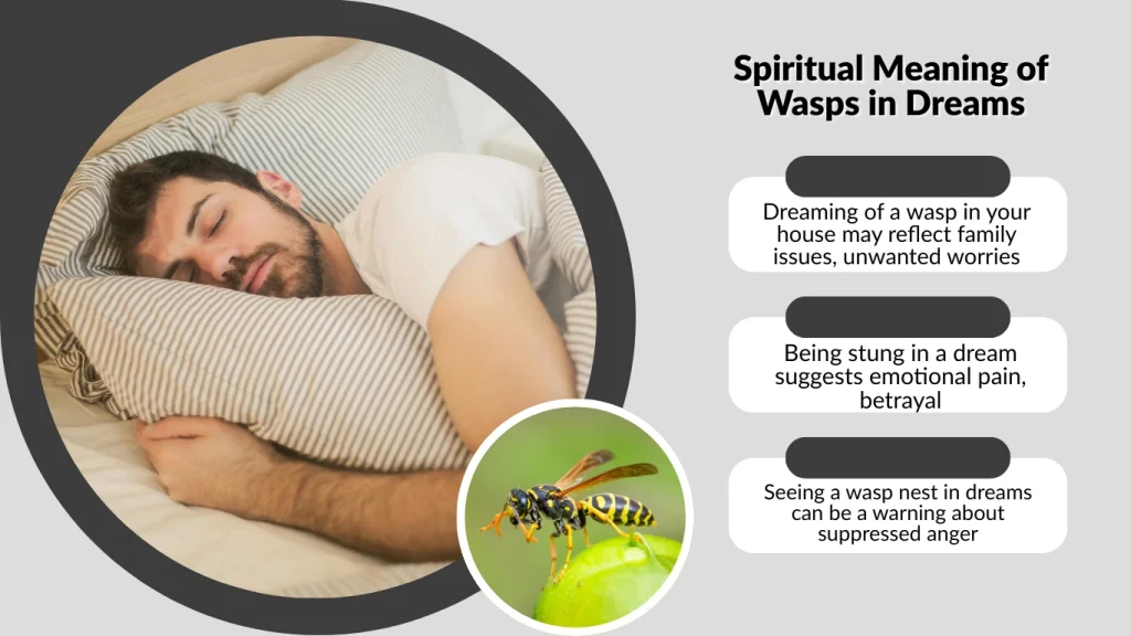 Spiritual Meaning of Wasps in Dreams