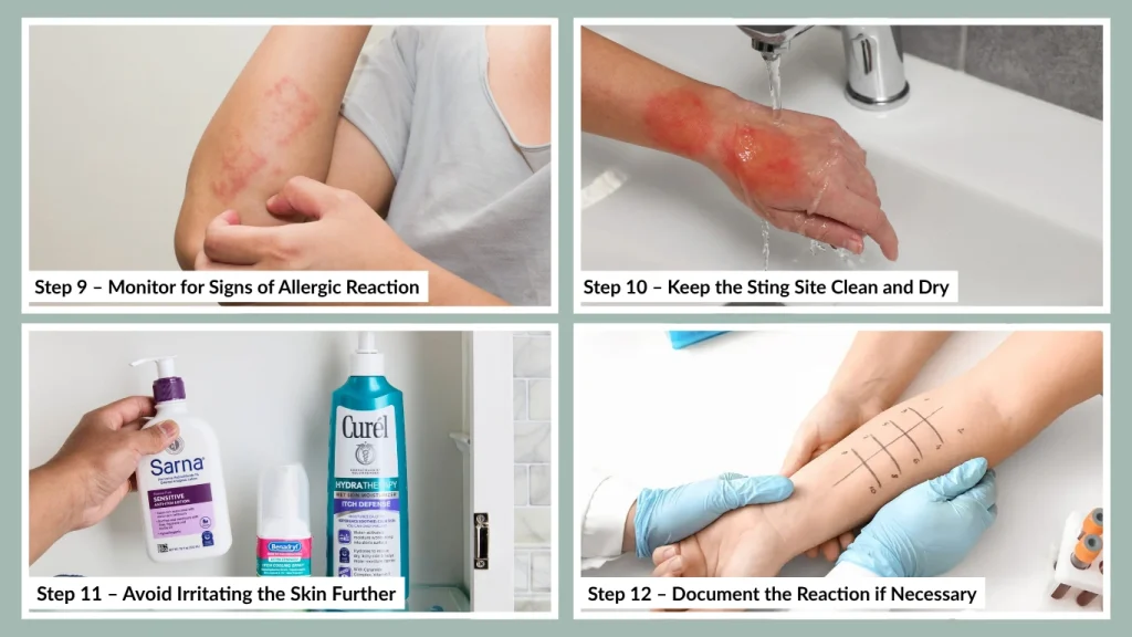 Step 12 – Document the Reaction if Necessary