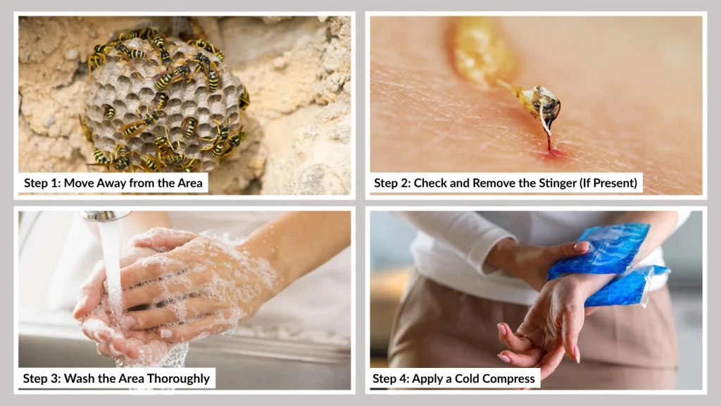 Step 3 Wash the Area Thoroughly