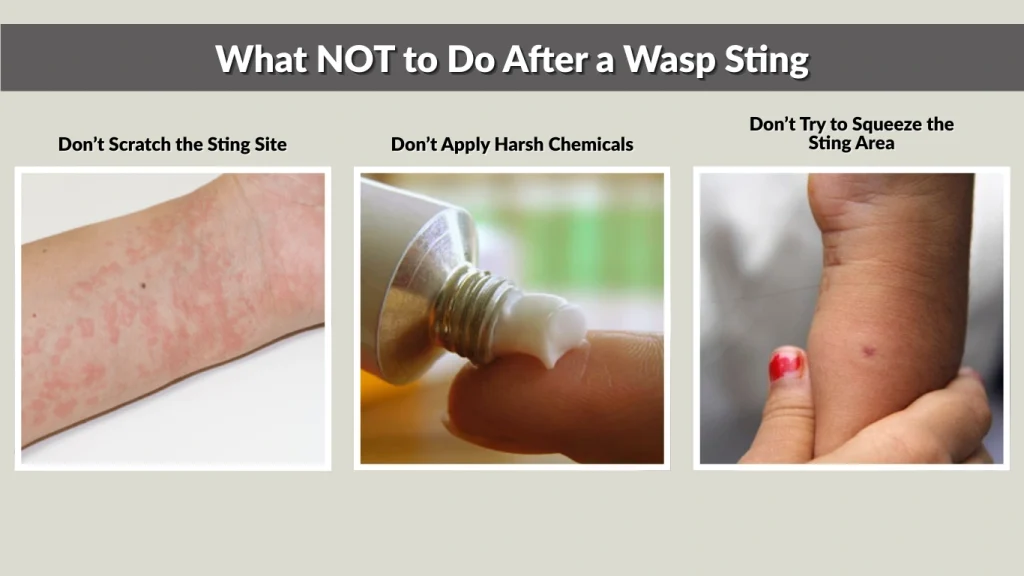 What NOT to Do After a Wasp Sting