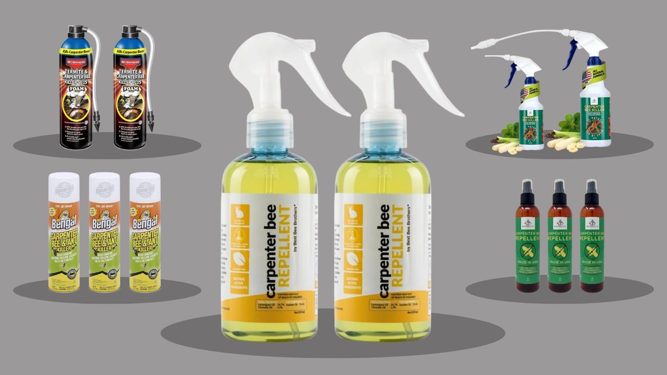 7 Best Carpenter Bee Sprays Effective Solutions for Wood Protection