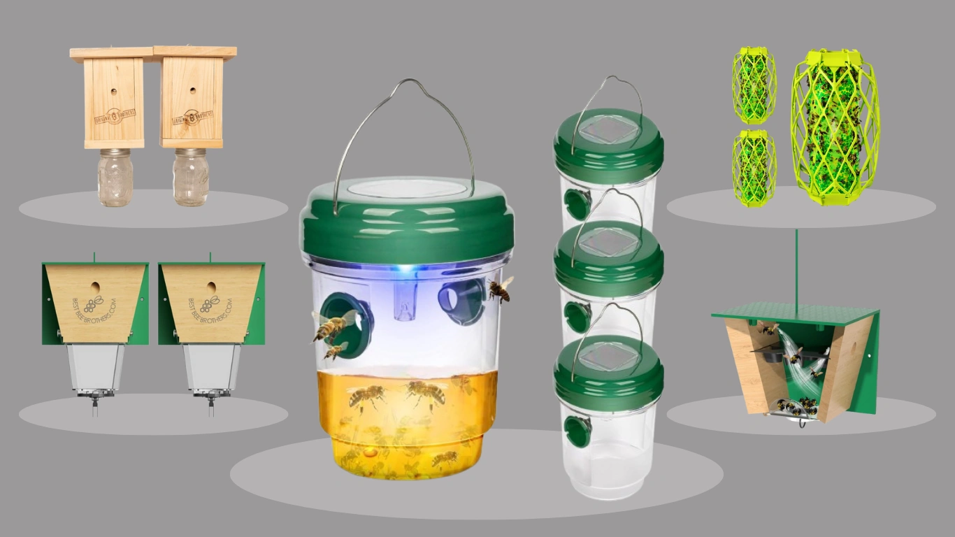 7 Best Carpenter Bee Traps Safe and Effective Wood Protection