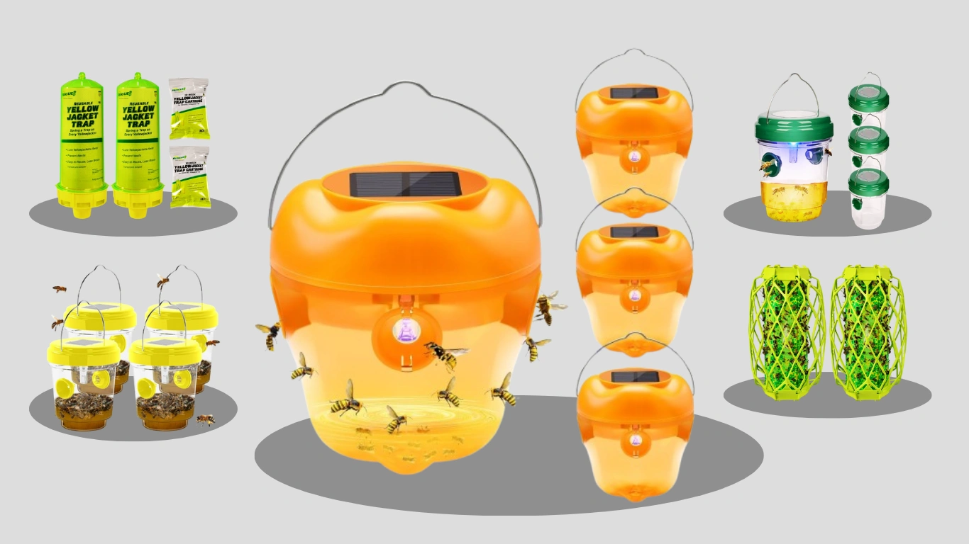 8 Best Wasp Traps Outdoor Hanging Review and Guide 
