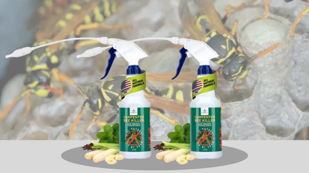 All-Natural Foaming Spray — Carpenter Insect Bee Killer