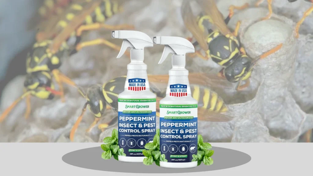 All-Natural Peppermint Oil Insect & Pest Control Spray