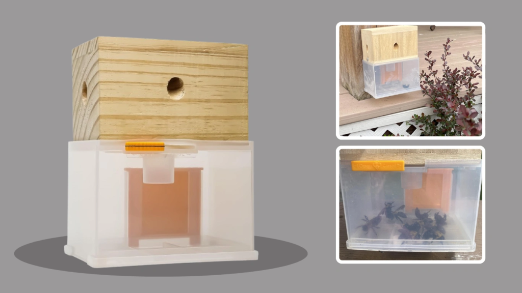 Bee Warehouse Carpenter Bee Trap 