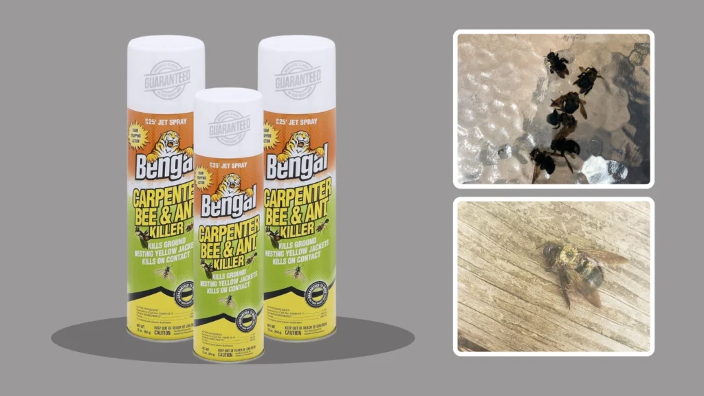 Bengal Products Carpenter Bee & Wasp Killer – 16 oz