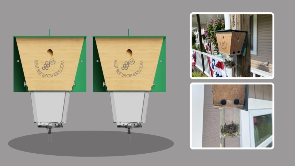 Best Bee Brothers Extra Large Carpenter Bee Trap