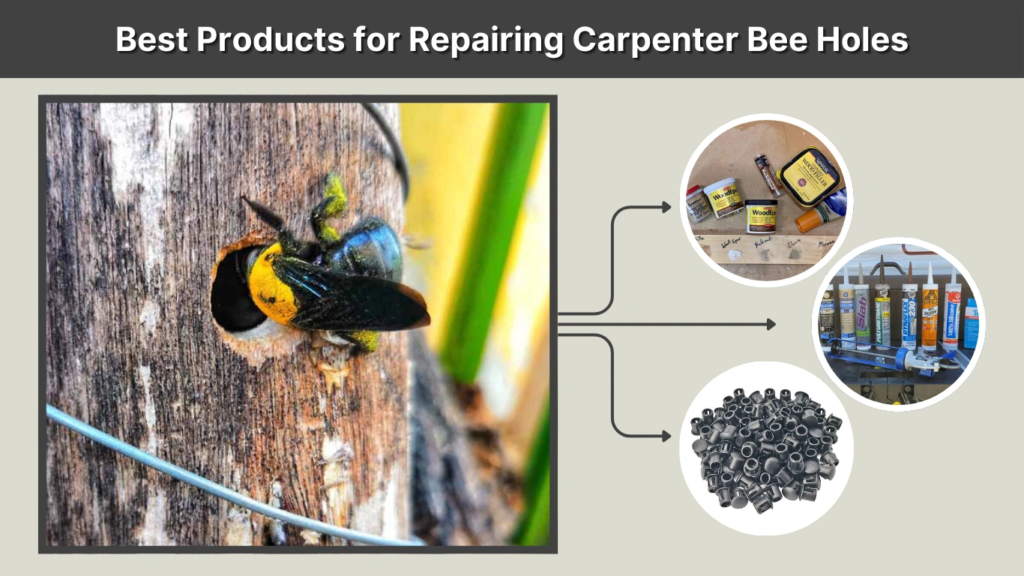 thumbnail image 2 of I Tested Carpenter Bee Hole Plugs: Here's What Really Works To Stop The 2 of 10