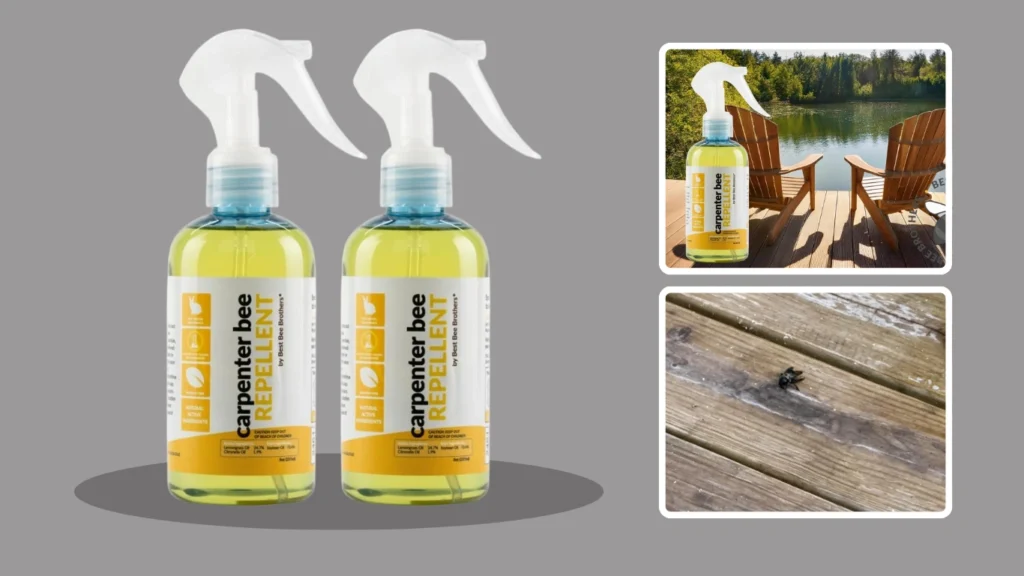 Carpenter Bee Spray with Citronella – Best Brothers