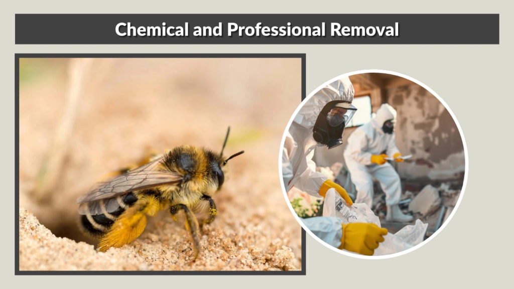 Chemical and Professional Removal