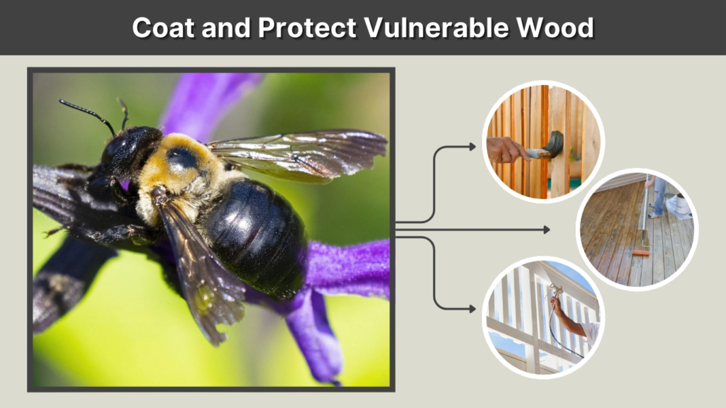 Coat and Protect Vulnerable Wood