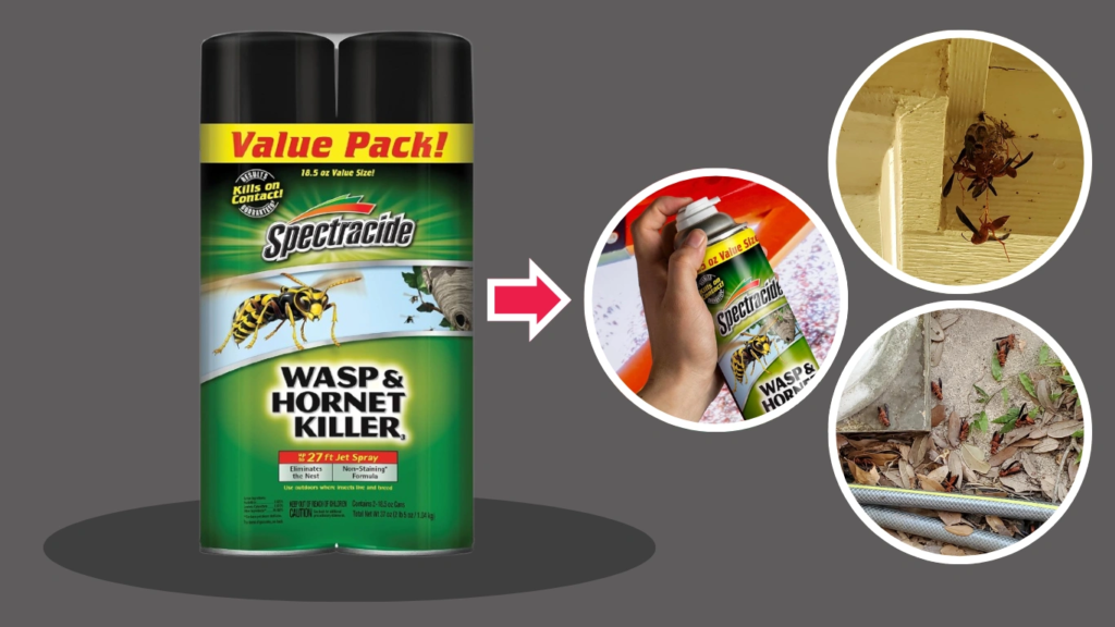 Customer Reviews and Feedback