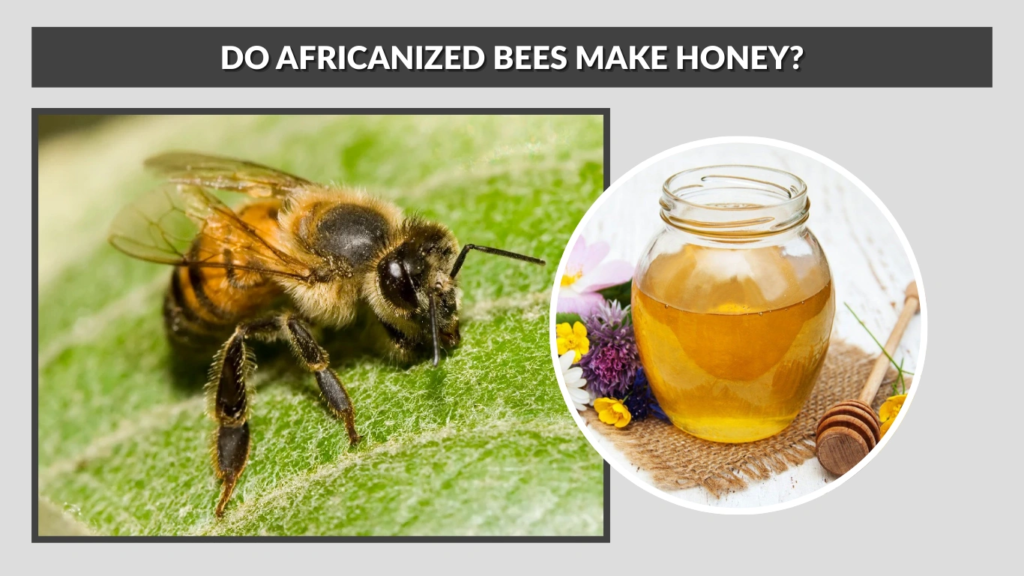 Do Africanized Bees Make Honey