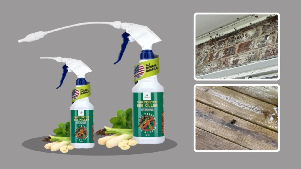 Donaldson Farms Carpenter Bee Killer – Natural Foaming Spray