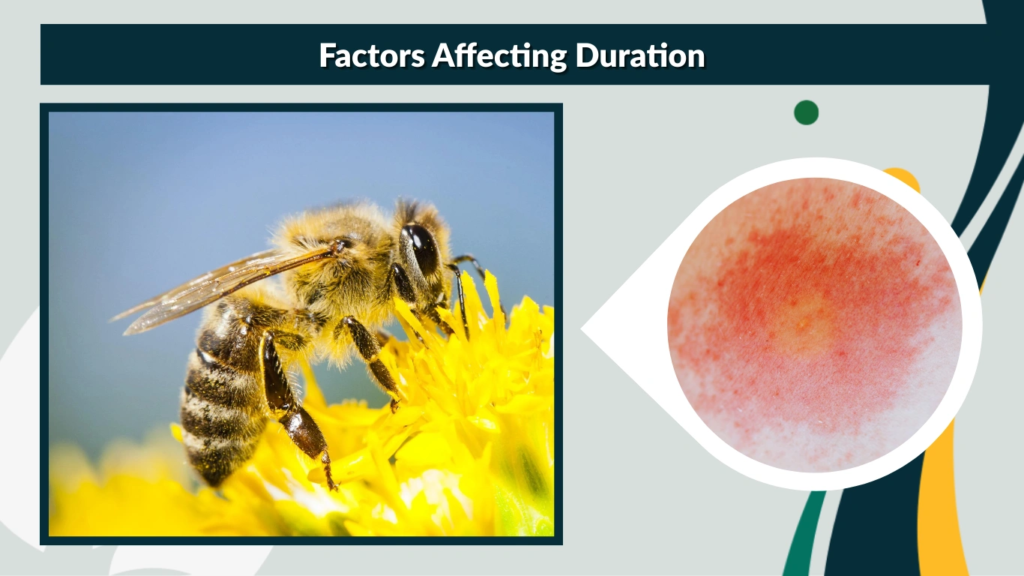 Factors Affecting Duration