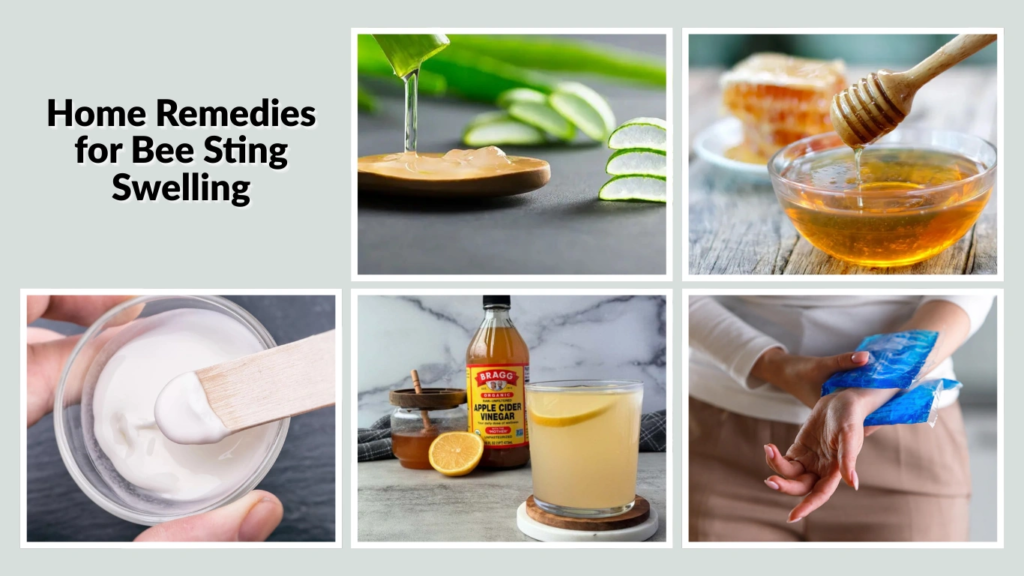 Home Remedies for Bee Sting Swelling