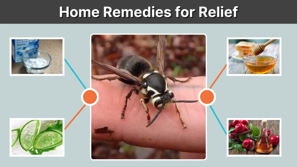 Home Remedies for Relief
