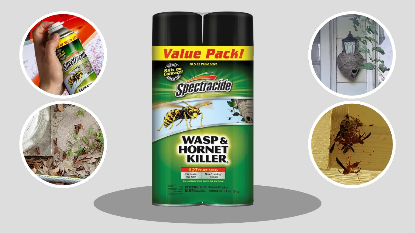Spectracide Wasp and Hornet Killer Review and Guide