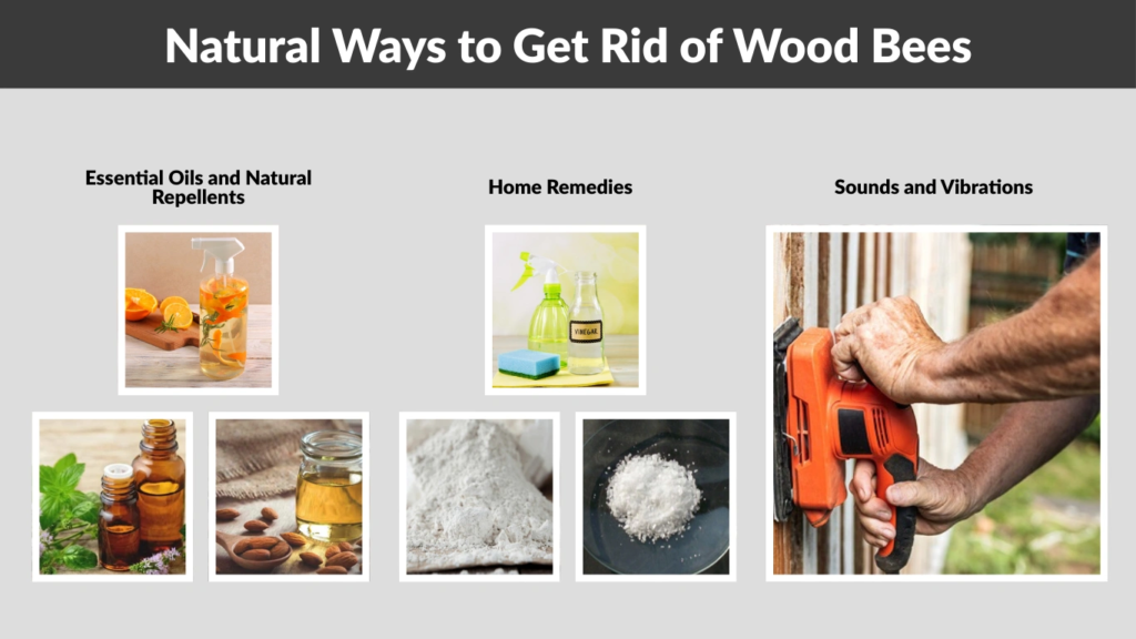Natural Ways to Get Rid of Wood Bees