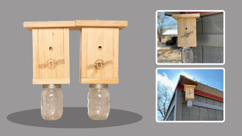 Best HD Pictures about  Best Bee Brothers Carpenter Bee Trap  with No AI Images