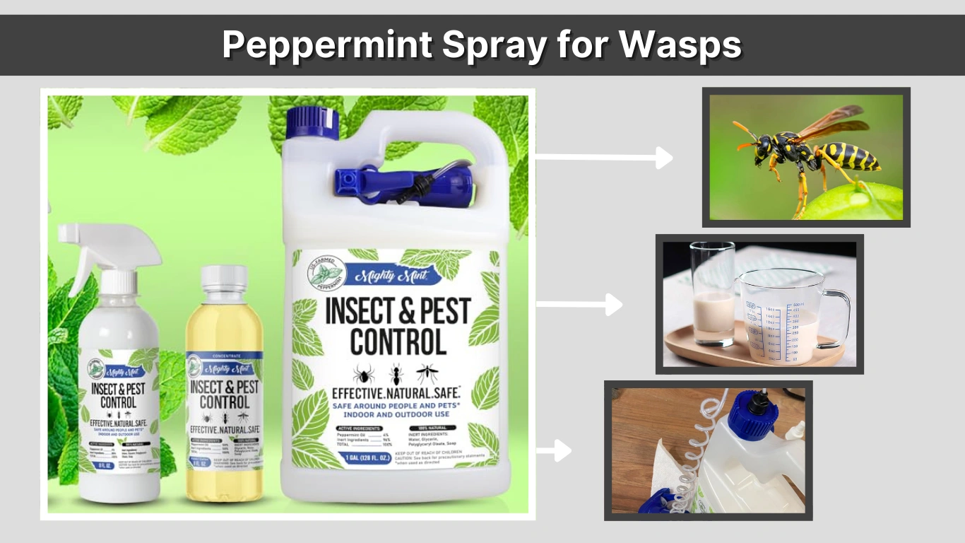 Peppermint Spray for Wasps   Review & Guide