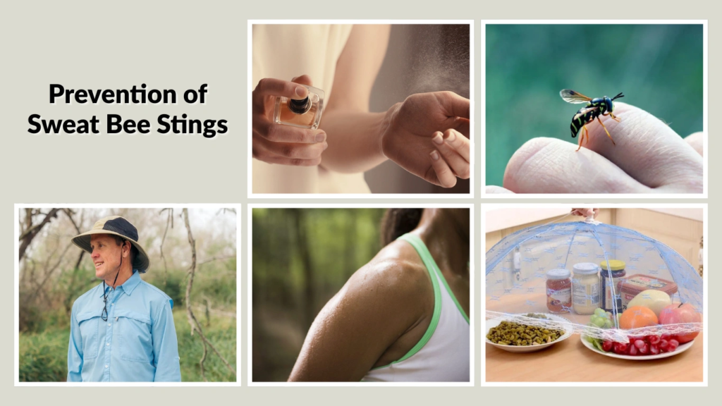 Prevention of Sweat Bee Stings