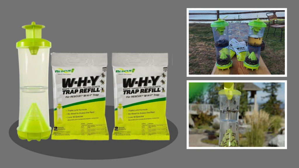 RESCUE! Non-Toxic Wasp, Hornet, Yellowjacket Trap 