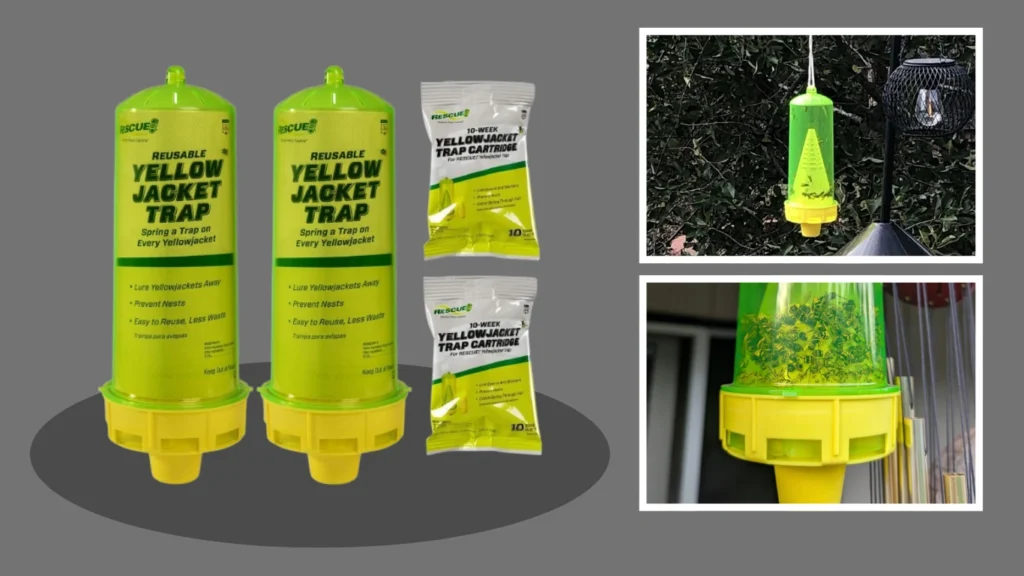 13 Best Wasp Traps That Actually Work: Review in 2026