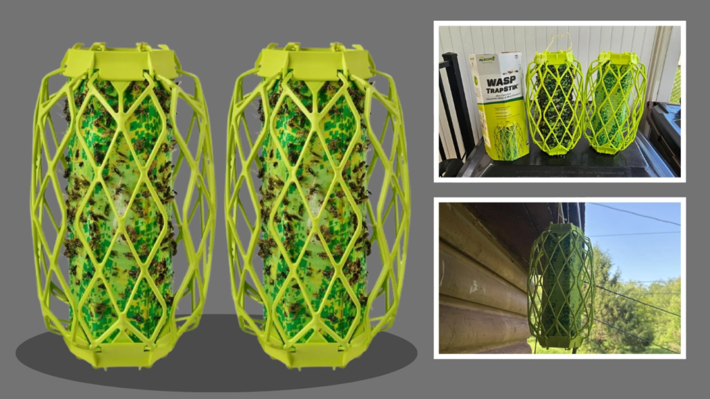 RESCUE! VisiLure® TrapStik for Wasps