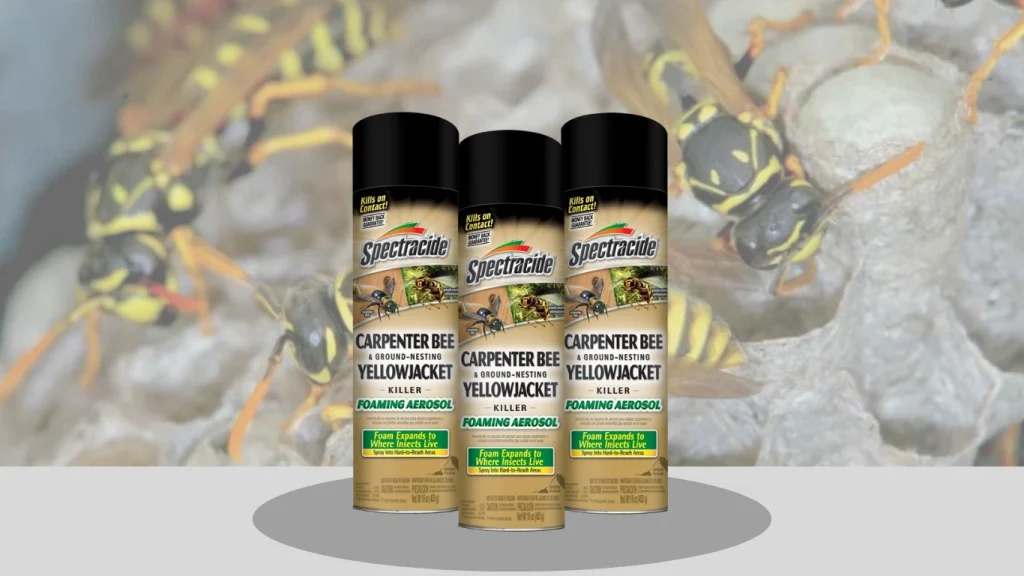 Spectracide Carpenter Bee & Ground-Nesting Yellowjacket Killer (Foam)