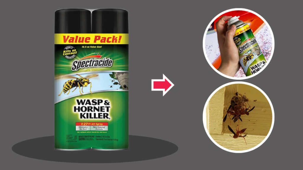 Spectracide Wasp and Hornet Killer