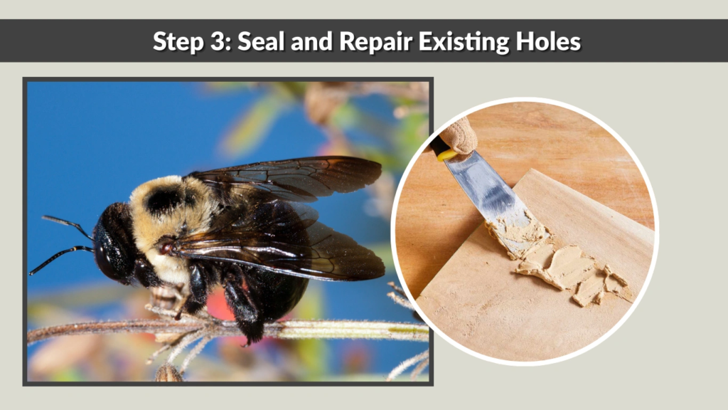 Step 3 Seal and Repair Existing Holes
