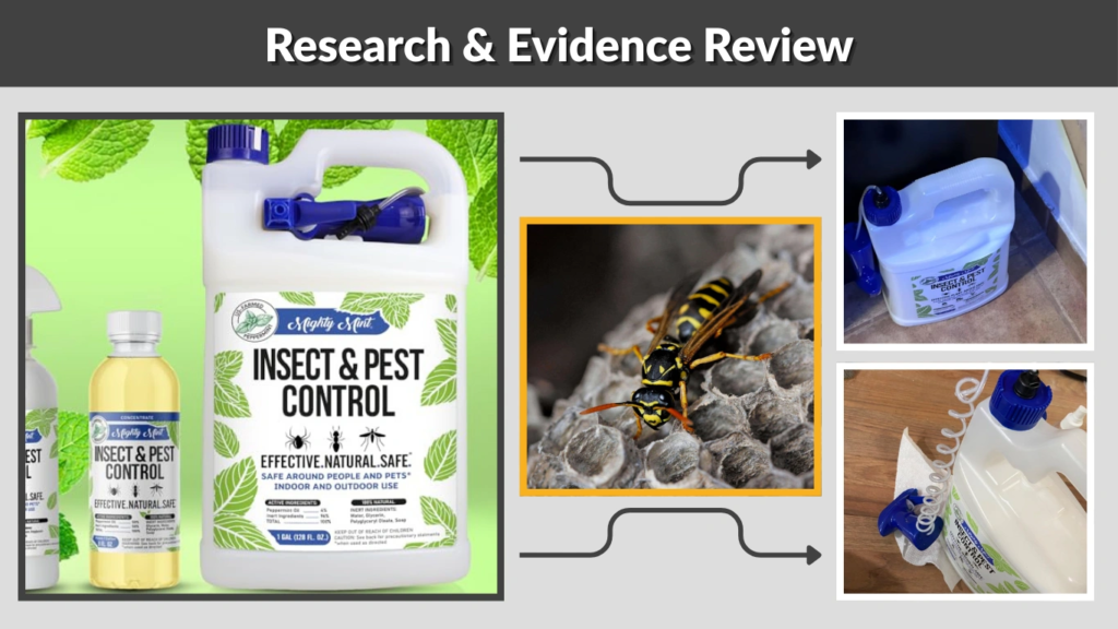 Research & Evidence Review