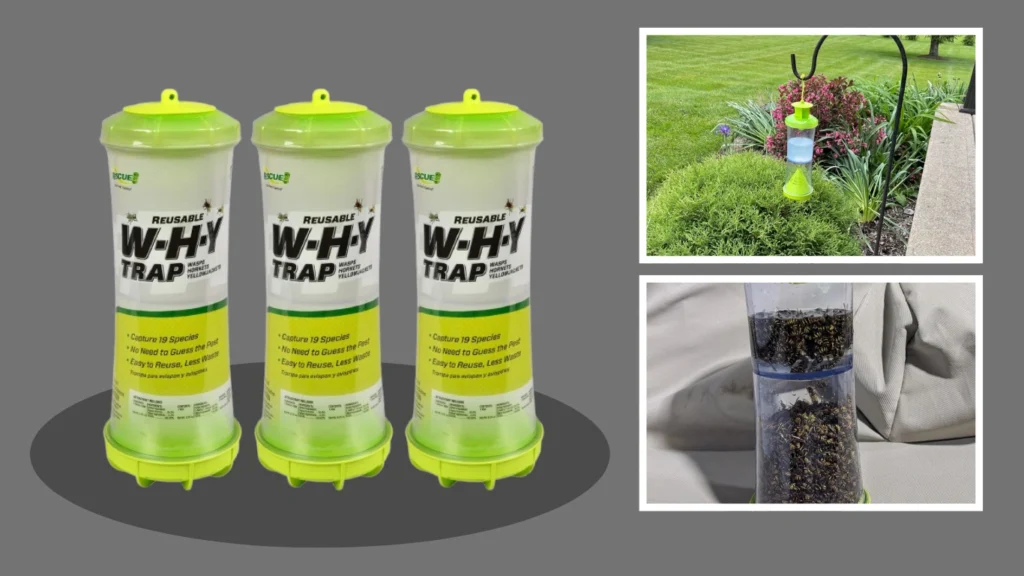 Trap for Wasps, Hornets, & Yellowjackets – Hanging Outdoor Trap 