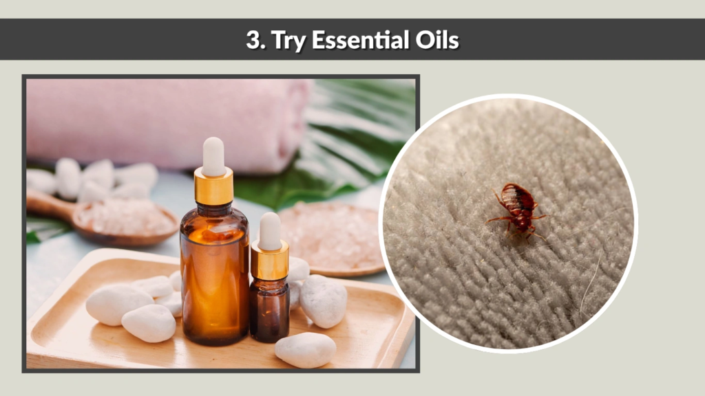 3. Try Essential Oils